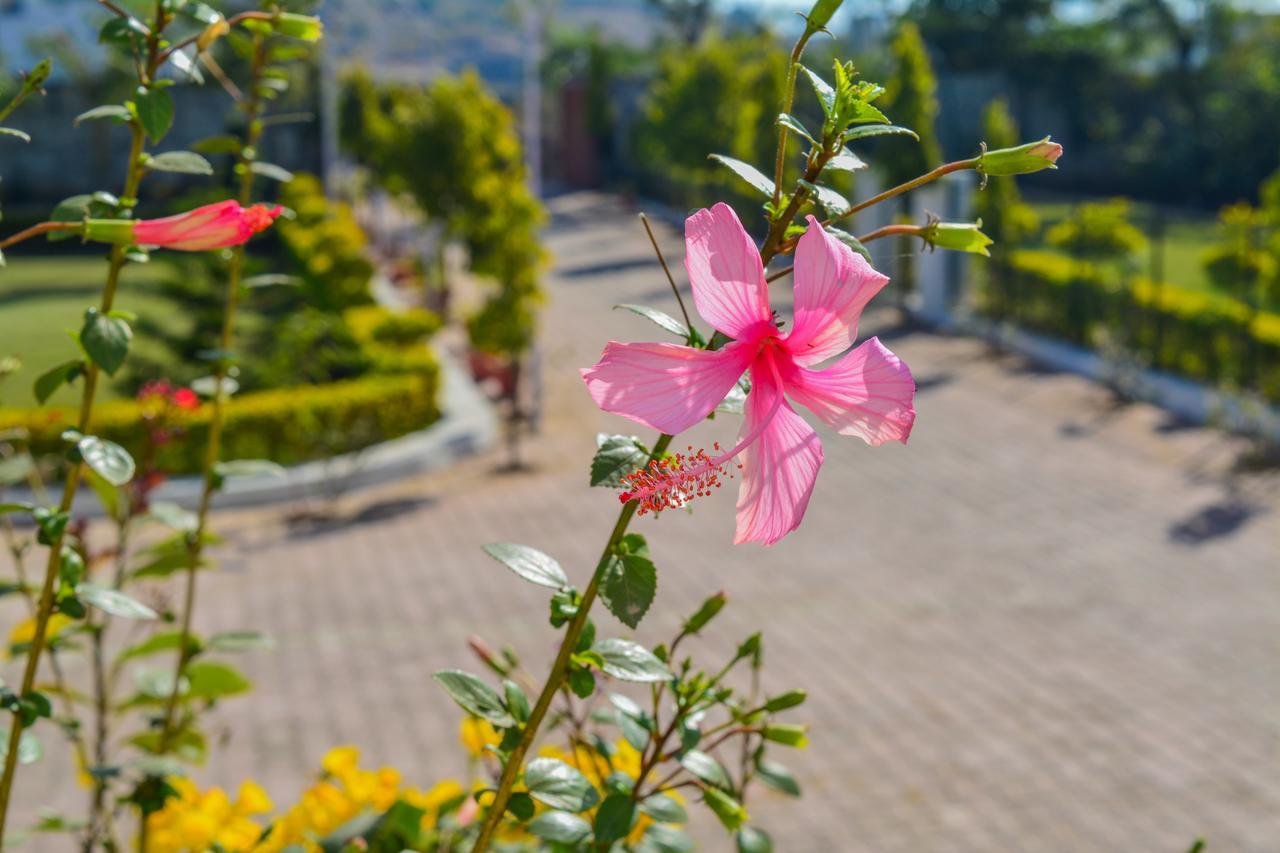 أُودايبور Tiger Hill Homestay المظهر الخارجي الصورة